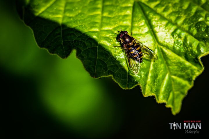 750_9762 (Small)